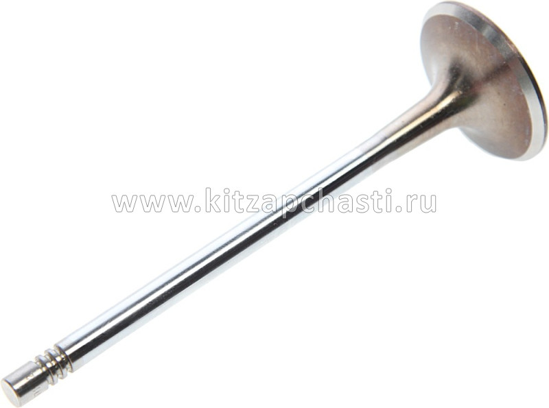 Клапан впускной JAC T6 1003202GD190